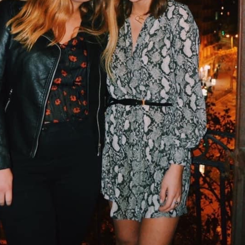 Zara Snakeskin Button-down Dress